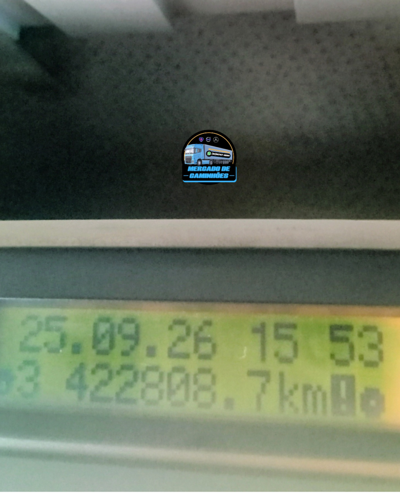1000413982